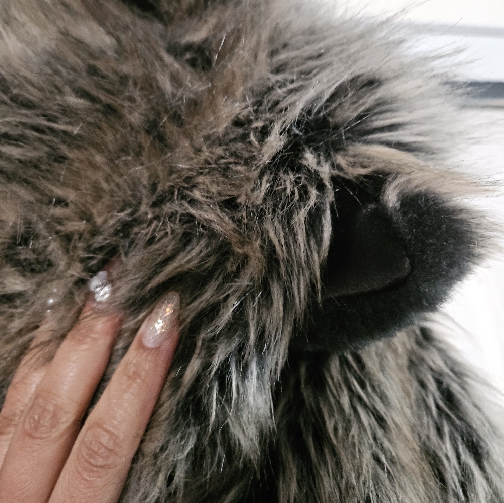 Spirithood cropped Greywolf Bomber Jacket Small - Picture 4 of 6